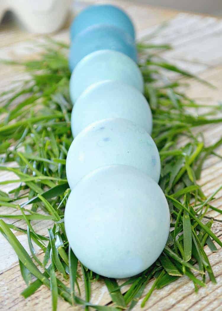 blue dyed Easter eggs lined up in a row on grass
