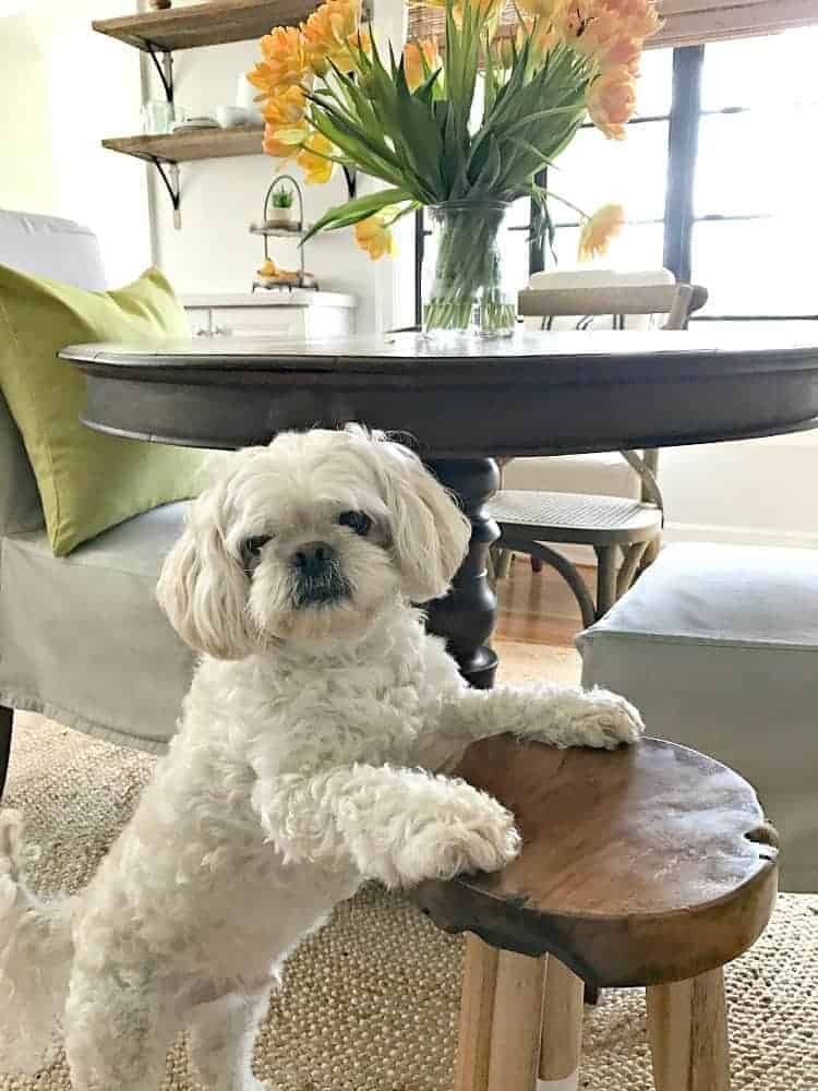 Mr. Finley steps in to help update a small dining area by removing a rug that is too small for the space. Chatfield Court