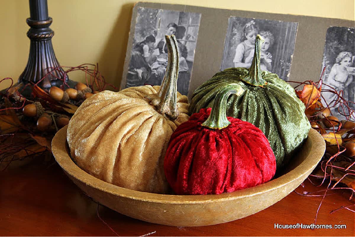 velvet pumpkins in bowl