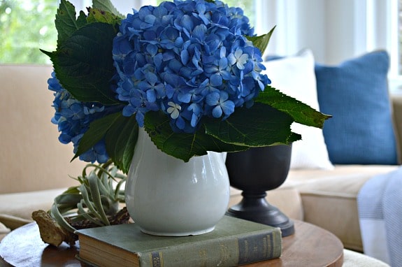 A vase filled with hydrangeas sitting on a table