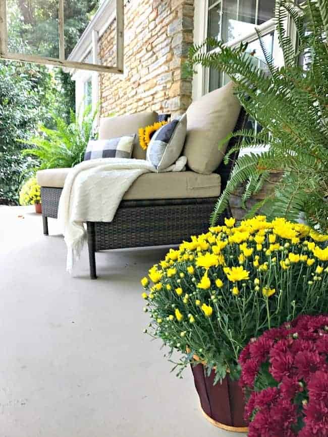 mums and front porch seating area