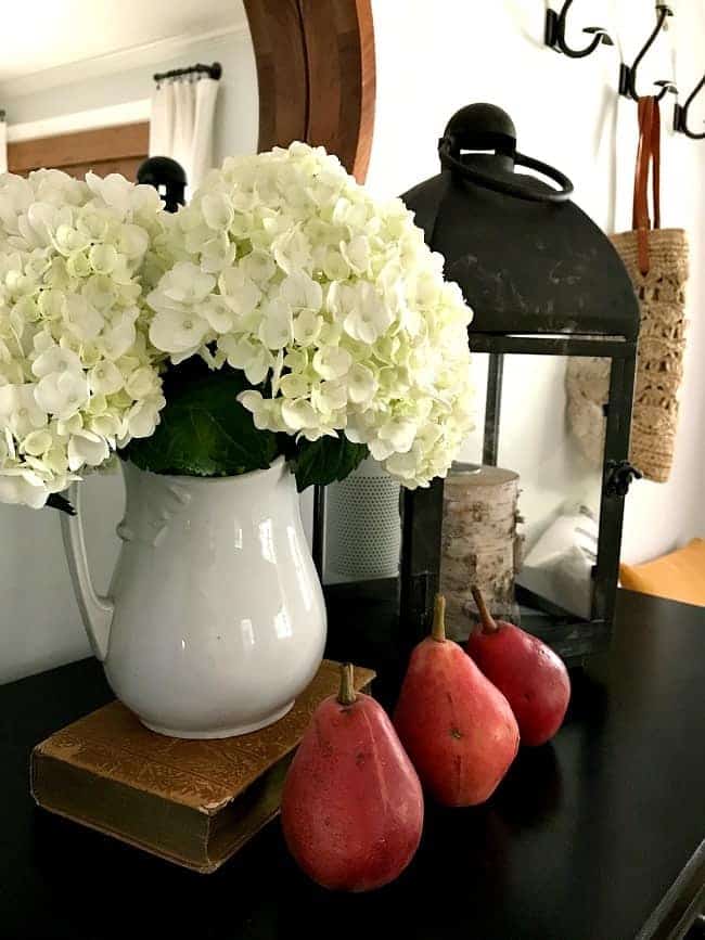 pitcher with white hydrangeas