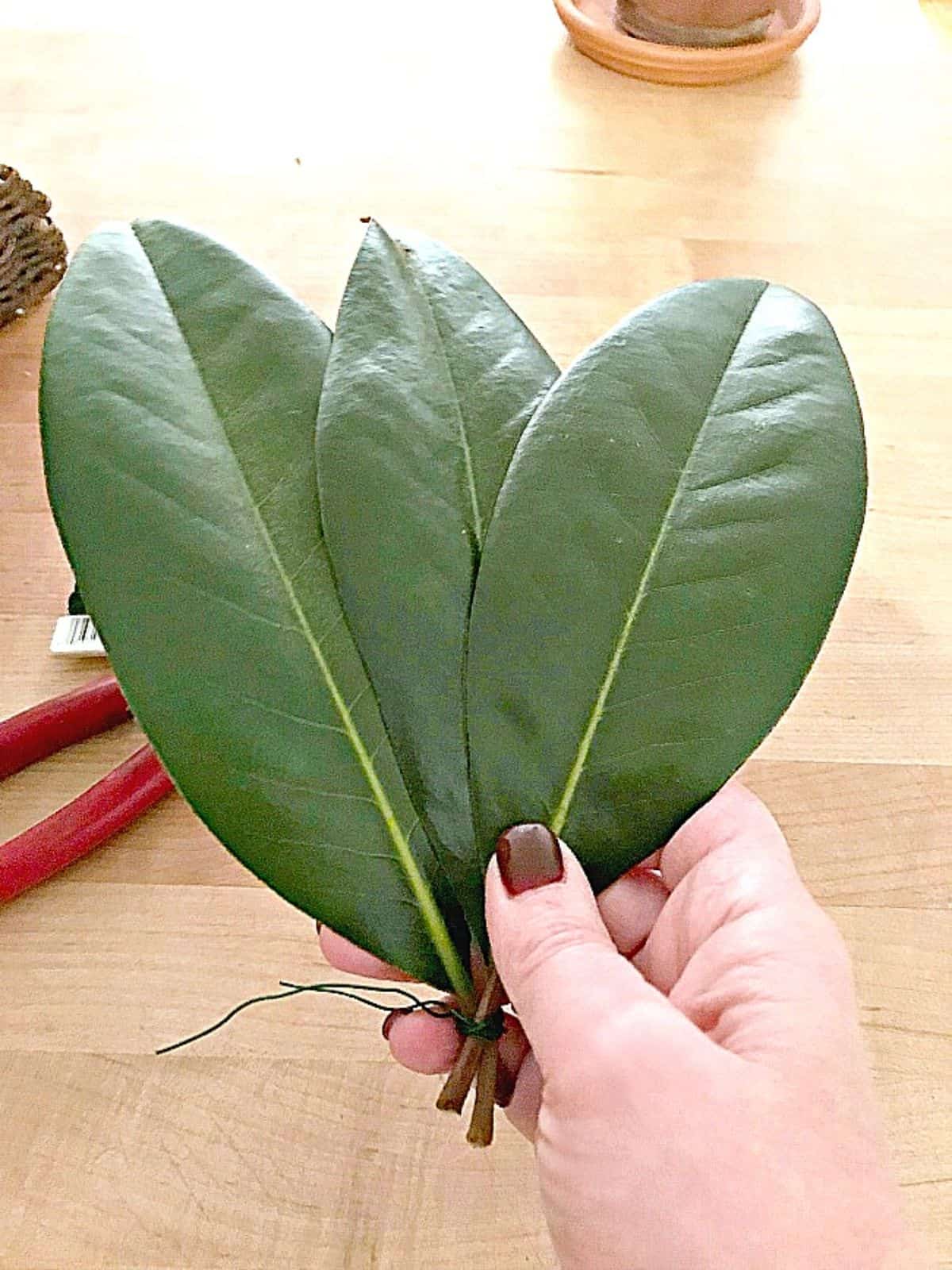 DIY Magnolia Leaf Garland leaves photo 3 magnolia leaves wired together