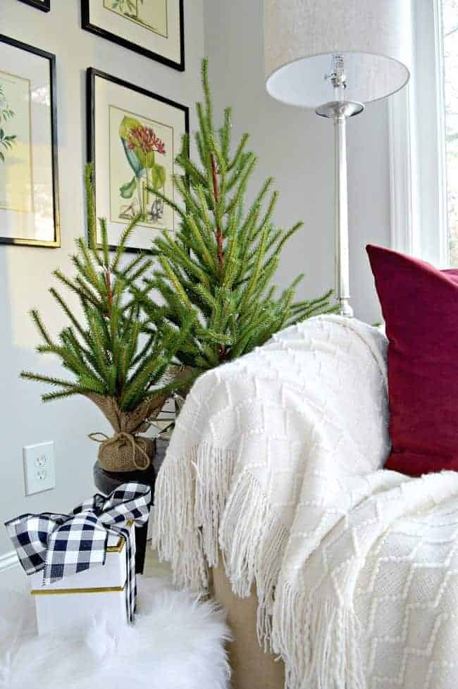 small faux evergreen trees next to sofa