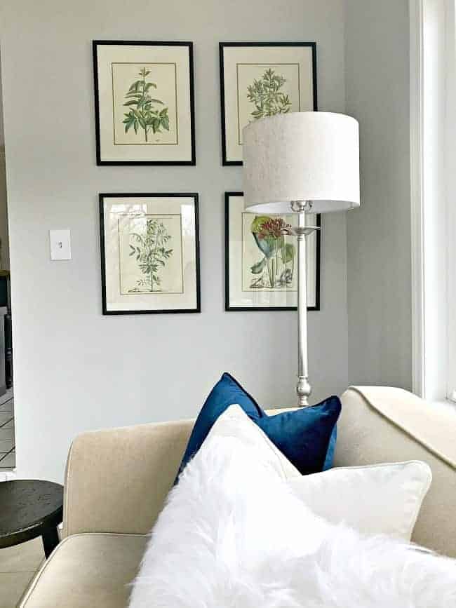 view of 4 framed botanicals with a tall floor lamp in front