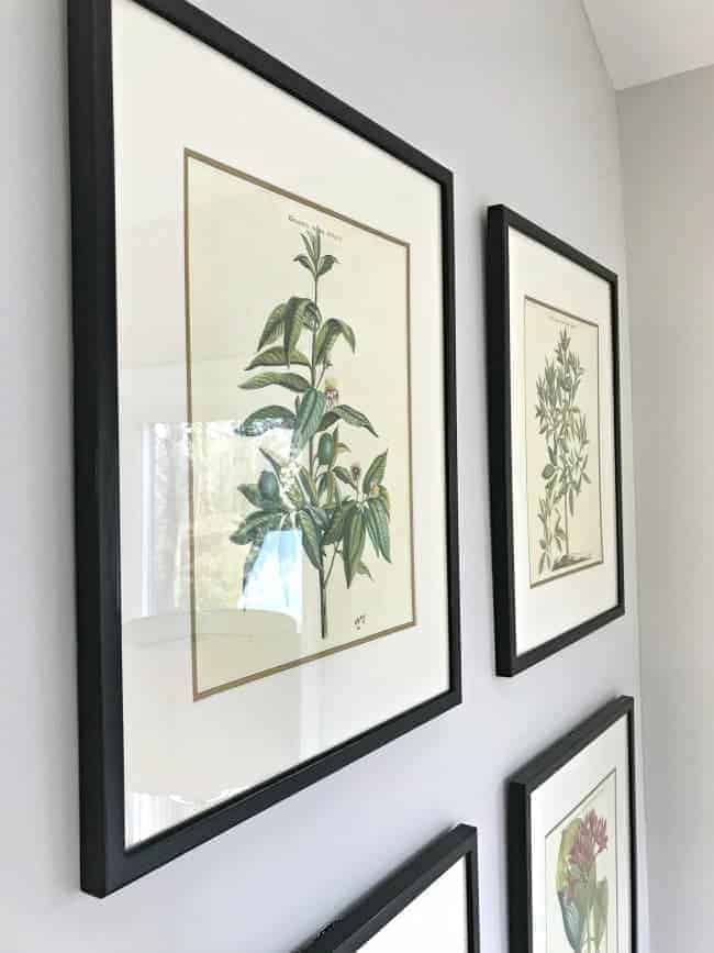 estate sale framed botanicals hanging on a wall