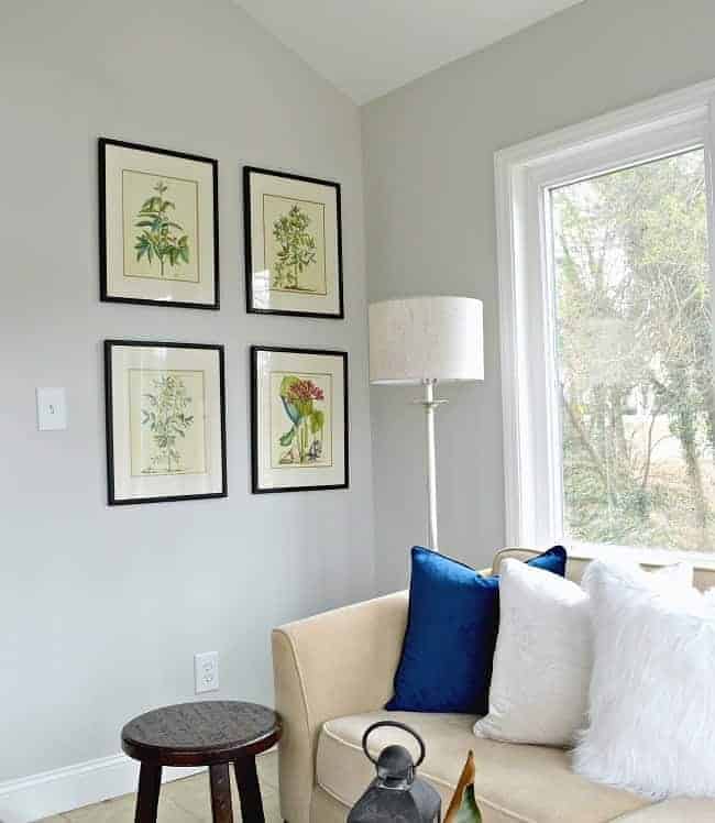 view of 4 estate sale framed botanicals hanging on gray painted wall