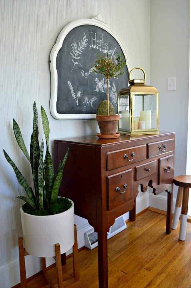 snake plant in planter next to wood cabinet with lantern on top