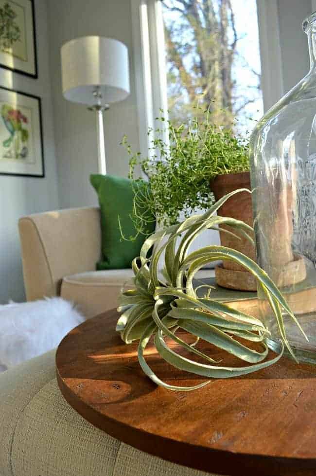 vignette on ottoman in sunroom with a potted plant, faux air plant and large glass bottle on a round wooden cutting board