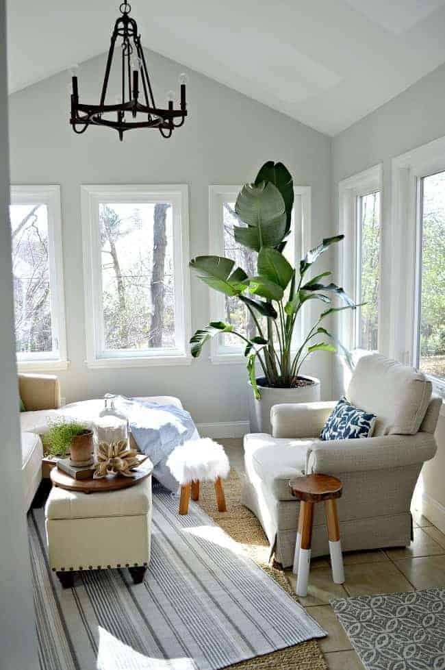 corner of sunroom with striped rug in center and bird of paradise plant in corner next to chair