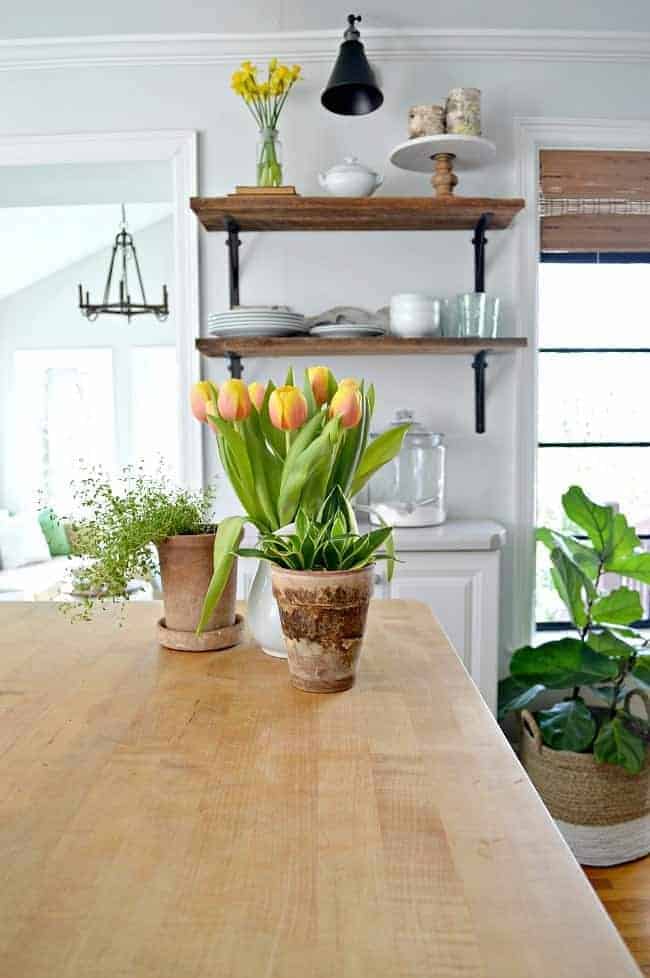 a pitcher of yellow tulips and potted plants on a butcher block kitchen island with wooden shelves in the background