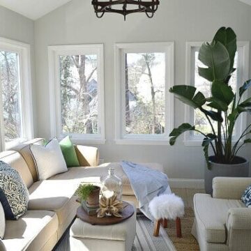 sunroom with sectional sofa and tall green plant