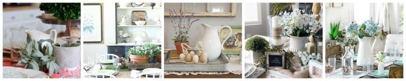 eggs, pitcher and potted plant