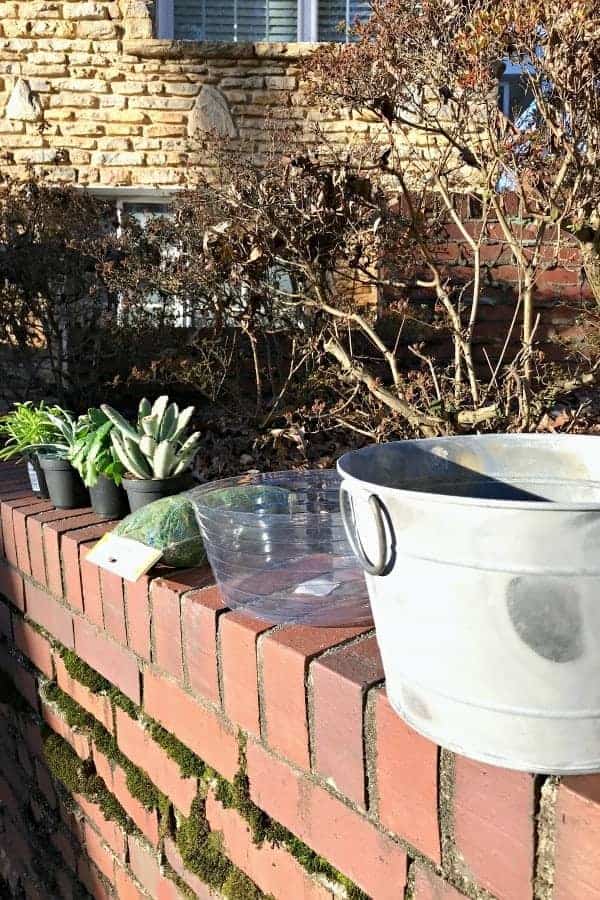 making a DIY Succulent planter with a galvanized bucket, pot liner, sheet moss and succulents