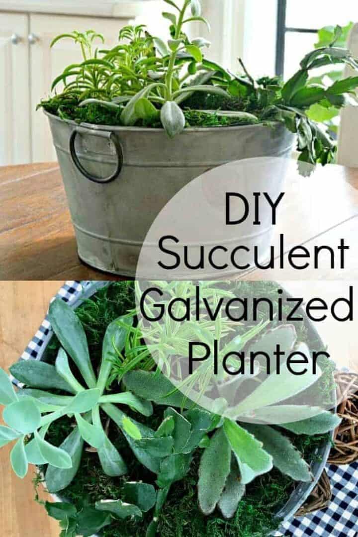 DIY succulent planter and overlay