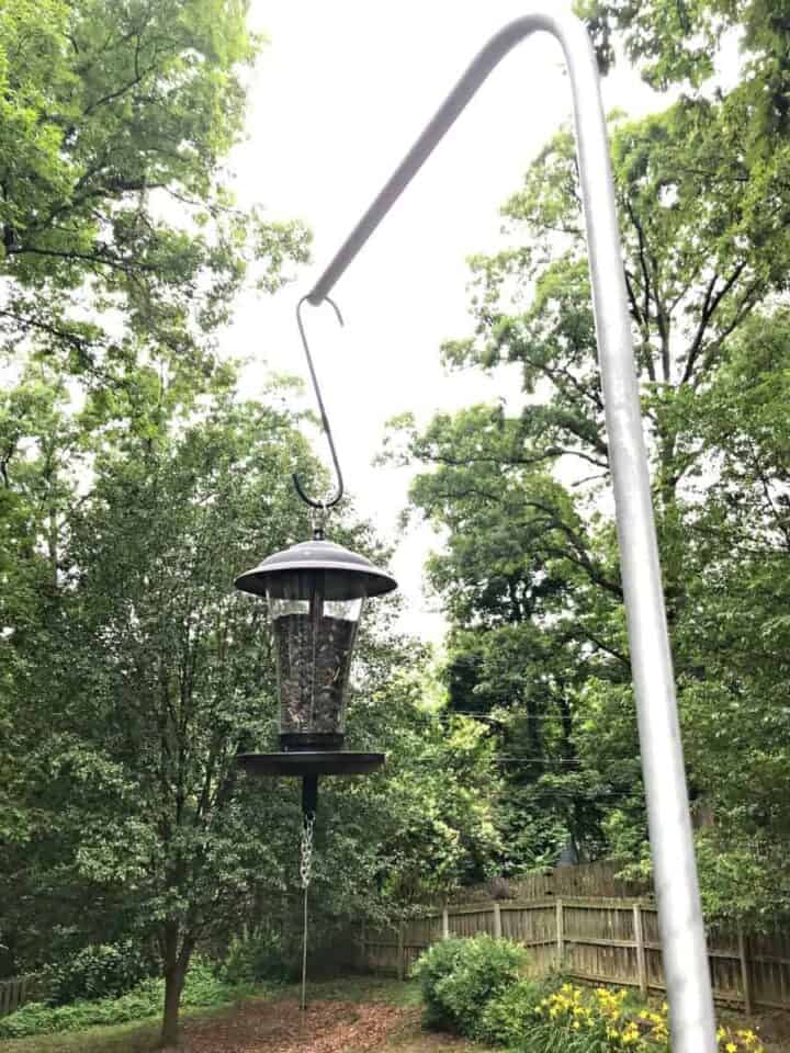 DIY Bird Feeder Pole for Under 5 · Chatfield Court