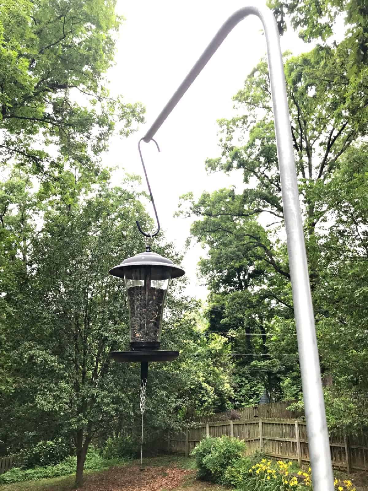 DIY Bird Feeder Pole bird feeder hanging from DIY bird feeder pole