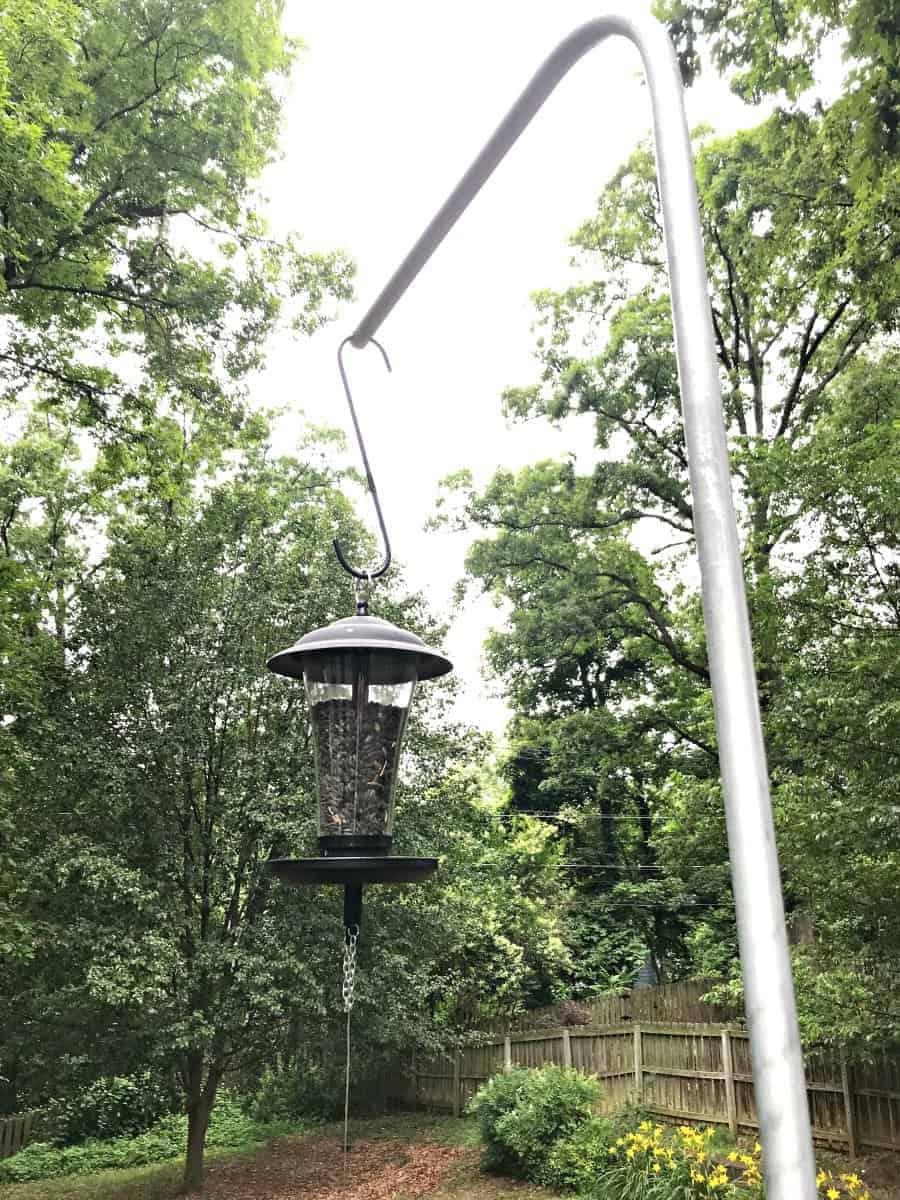 bird feeder hanging from DIY bird feeder pole