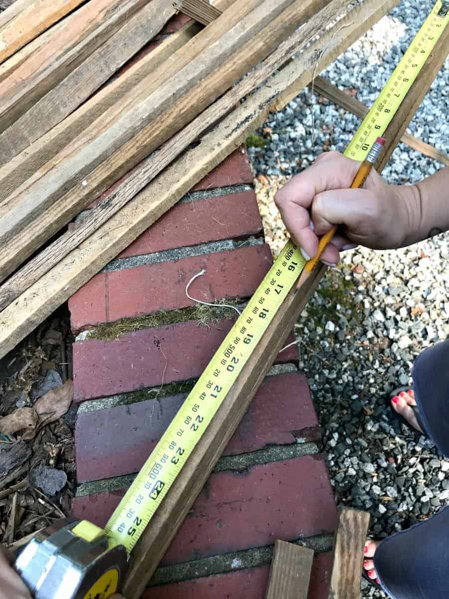 measuring tobacco sticks to be cut for a wooden garden obelisk