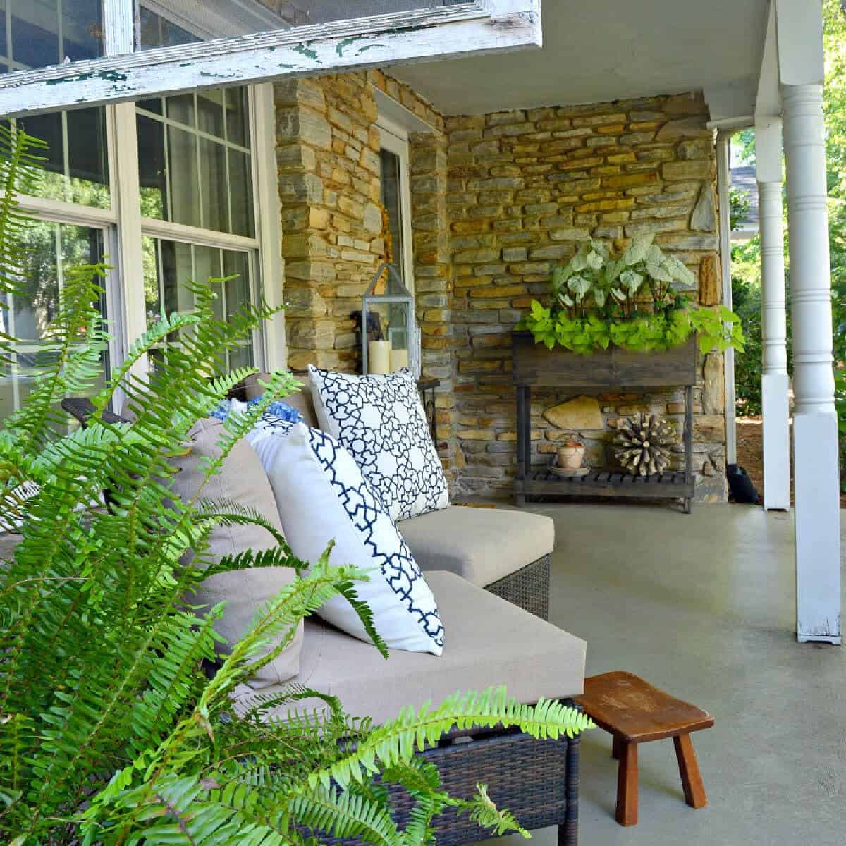 view of summer cottage front porch with chairs and plants