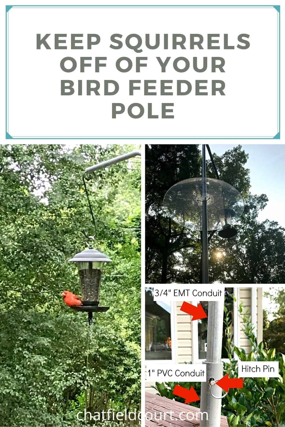 collage of squirrel-proof bird feeder pole