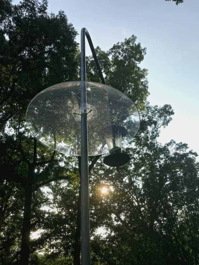 looking up through bird feeder baffle 