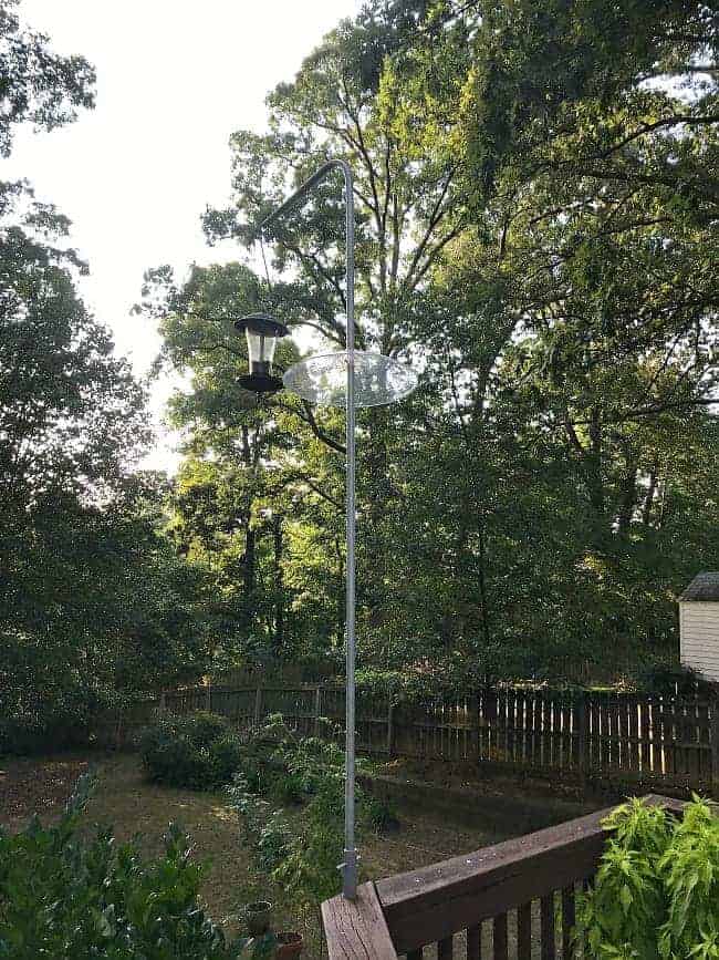 bird feeder hanging on pole high up on deck 