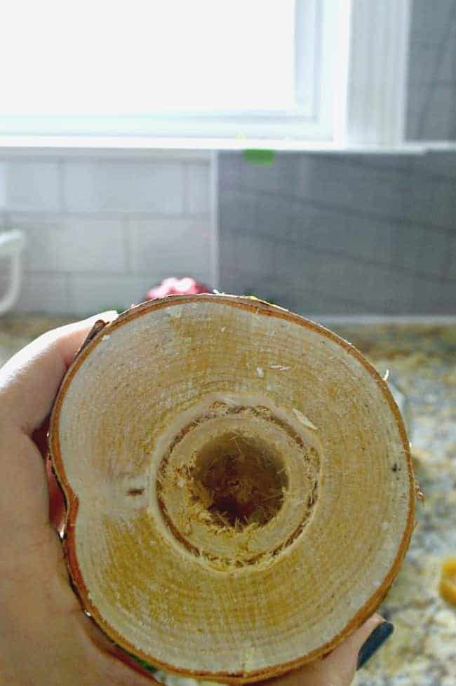 end of a birch log with hole cut in the center