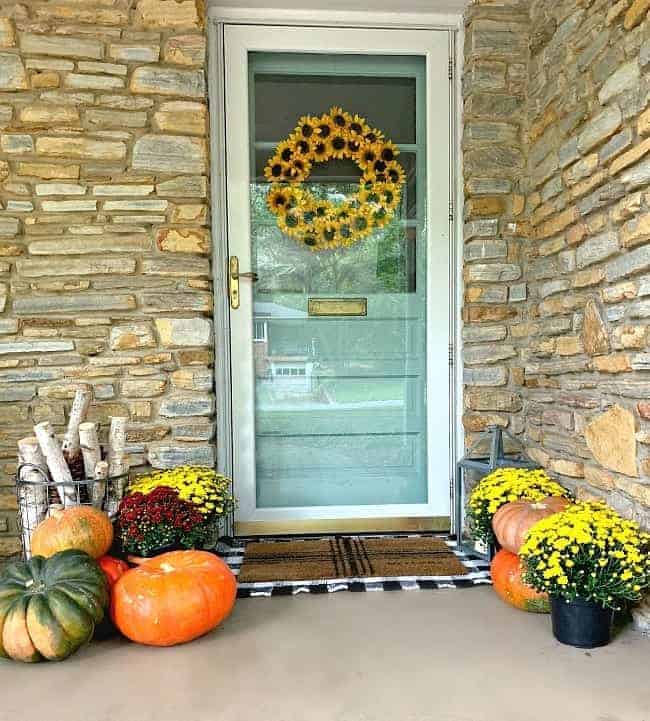front porch fall decor with blue front door and lots of pumpkins and mums spread around