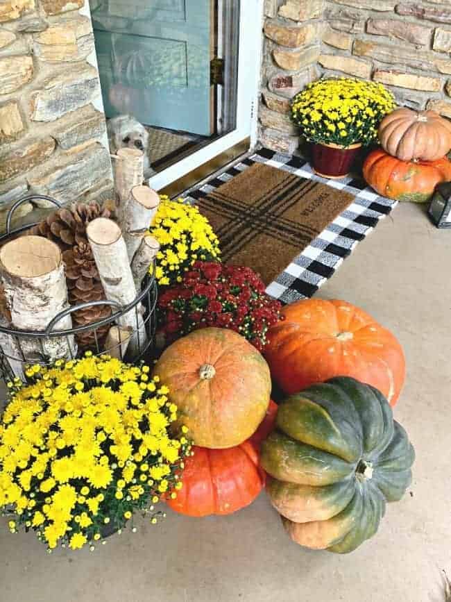 pumpkins on front porch