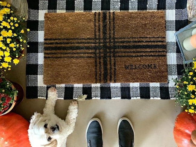A dog and a front door mat