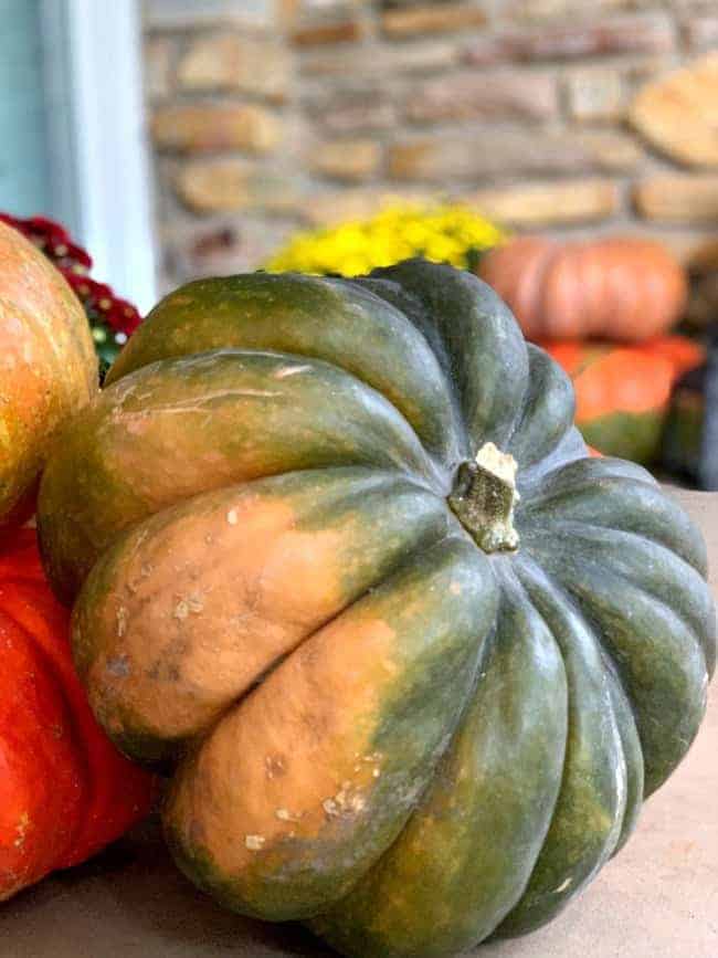 green and orange pumpkin