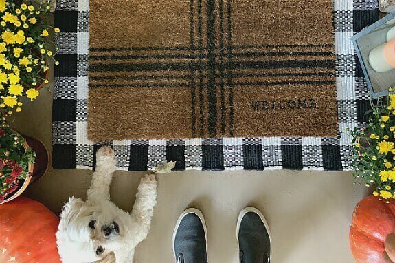 A dog and a front door mat