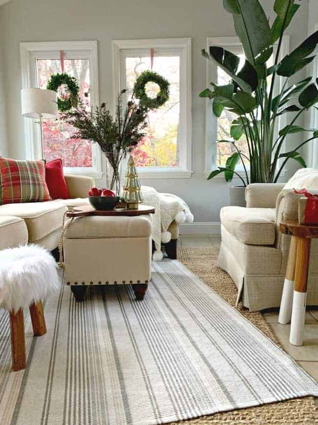 corner view of a sunroom with a sectional sofa and a large bird of paradise plant in the corner