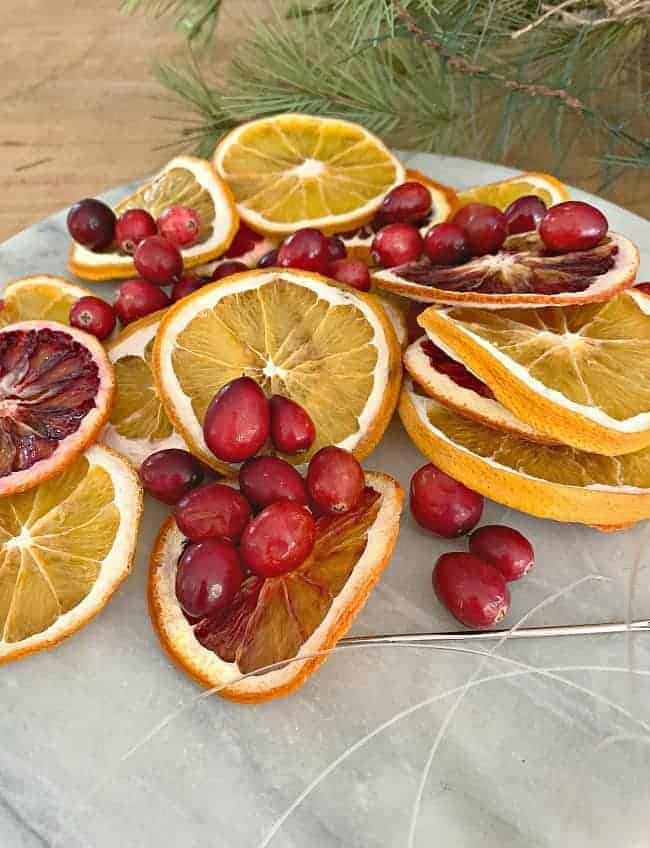 dried orange slices and cranberries 