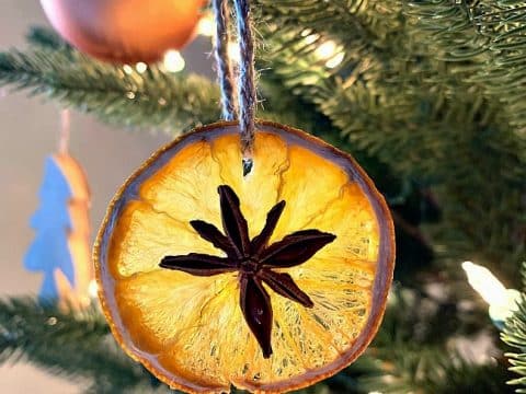 Easy DIY Dried Orange Slice Ornaments with Star Anise