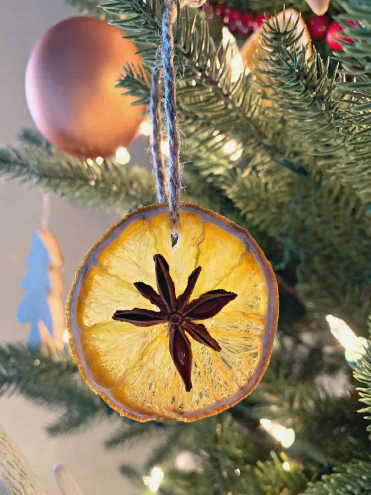 DIY Dried Orange Slice Ornaments dried orange slice ornament hanging on Christmas tree