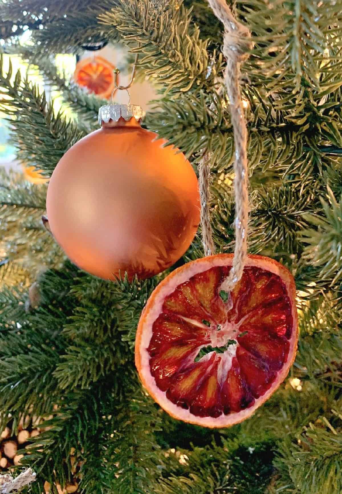 DIY Dried Orange Slice Ornaments blood orange orange slice ornament hanging on Christmas tree