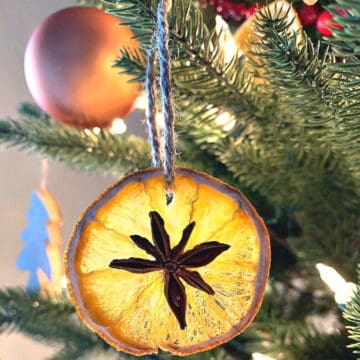 dried orange slice ornament with star anise hanging on tree