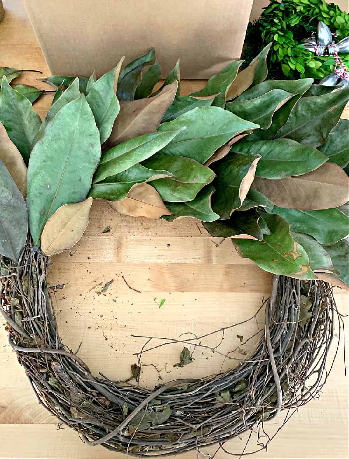 making a magnolia leaf wreath