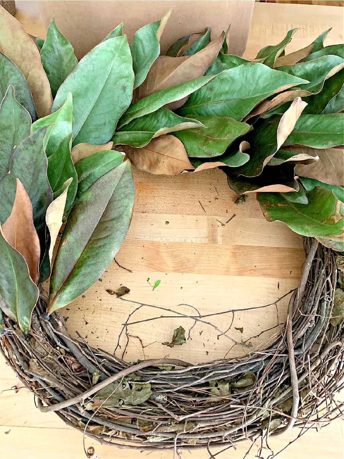 making a magnolia leaf wreath