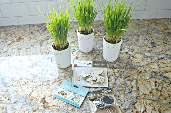 Image for Chalk Paint Mason Jar Planters
