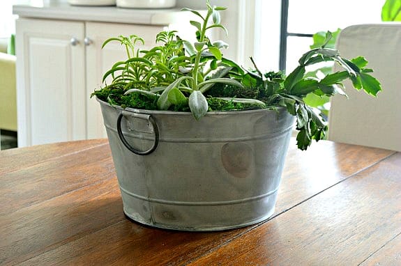 Image for Simple DIY Succulent Planter