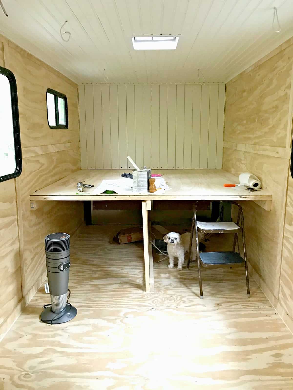 A dog standing in a cargo trailer conversion