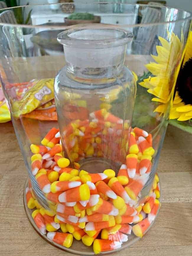 candy corn around narrow glass vase that is inside a wide glass vase