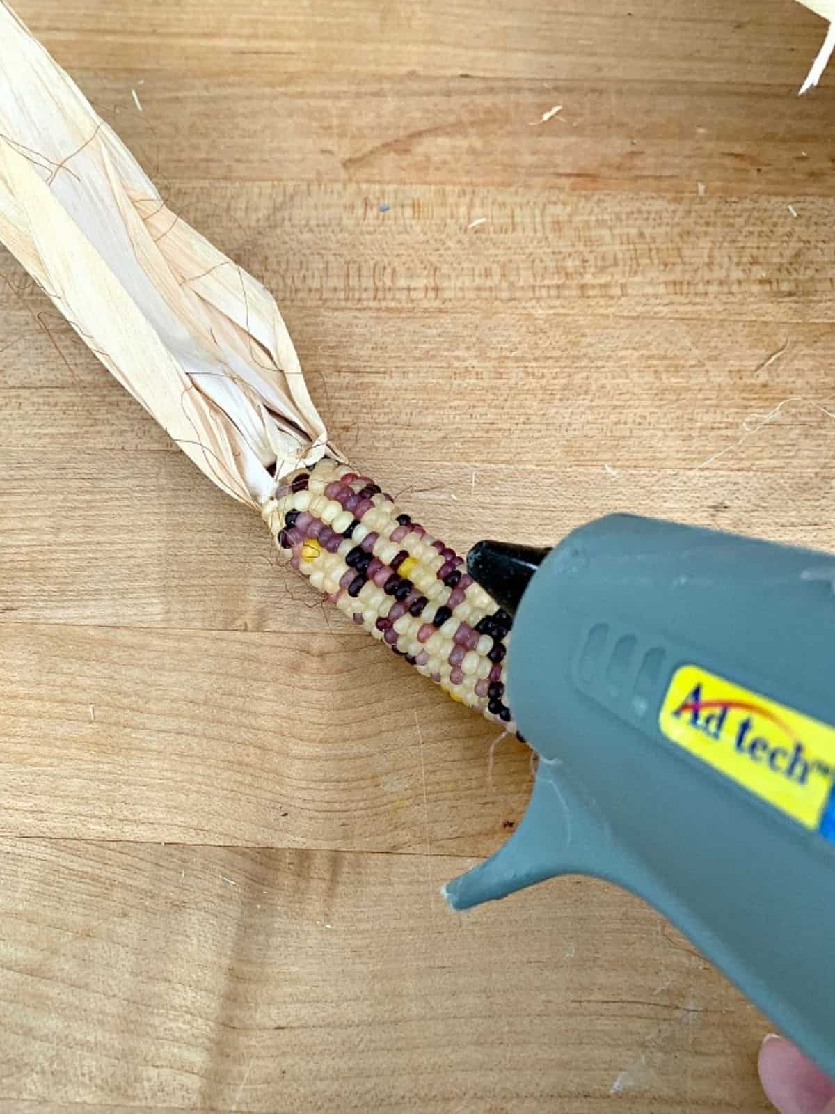 applying hot glue to mini Indian corn cob