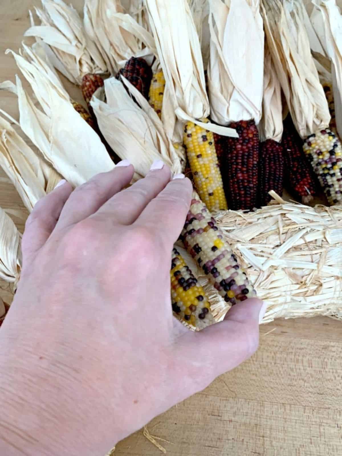 attaching Indian corn to wreath form