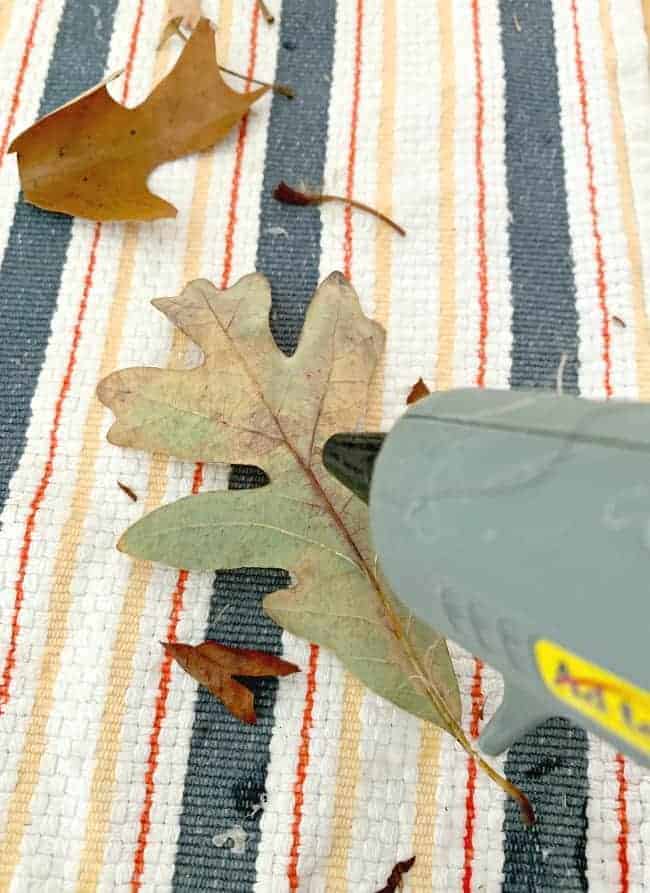 applying hot glue to back of fall leaf