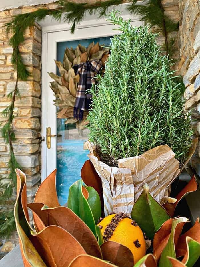 orange pomander and rosemary bush in planter with front door in the background