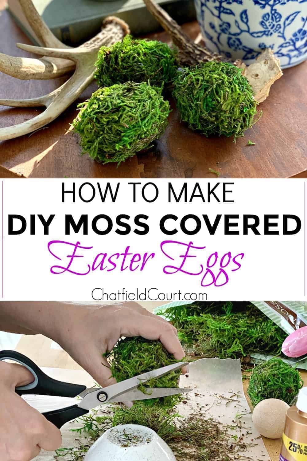 collage making moss covered Easter eggs and large graphic